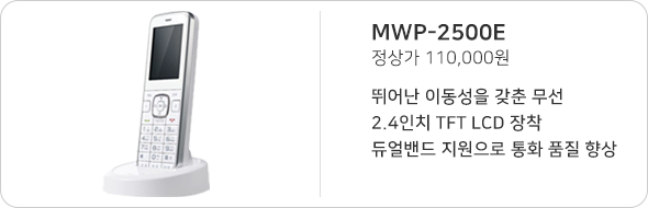 MWP-2500E, 정상가 110,000원
